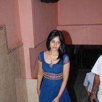Bindu Madhavi - Pilla Zamindar Movie Platinum Disc Function - Pictures | Picture 119602